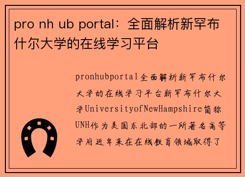 pro nh ub portal：全面解析新罕布什尔大学的在线学习平台